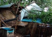 Pohon Tumbang Timpa Rumah Warga di Takalar