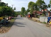 Pemdes Solo Luwu Timur Tanam Seribu Pohon Pucuk Merah