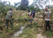 Akan Dialiri Listrik, Babinsa Koramil Wotu bersama Warga Bersihkan Pohon di Desa Batu Putih