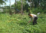 Peduli Lingkungan, Bhabinkamtibmas Kalukubodo Laksanakan Kerja Bakti Bersama Warga