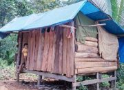 Janda Miskin dan Lima Anak di Desa Lapao Pao Kolaka, Butuh Uluran Tangan