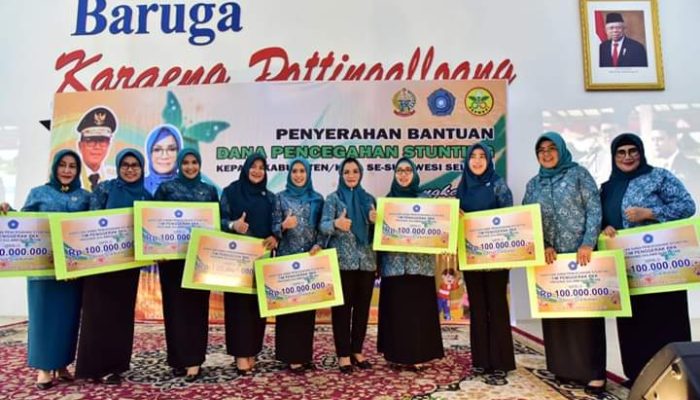 Cegah Stunting, Lies F Nurdin Serahkan Bantuan 100 Juta per Kabupaten