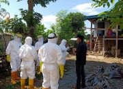 Pasien Positif Covid-19, Sekda Jeneponto : Masyarakat Kontak Erat Hasilnya Negatif