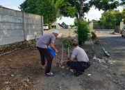 Tidak Lanjut Penghijauan, Personil Polsek Marbo Lakukan Perawatan Pohon