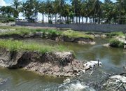 Kolam Penampungan Limbah Tambak Udang tidak berfungsi, Petani Rumput Laut di Manyumbeng Mengeluh