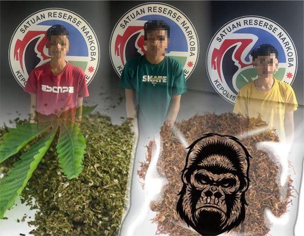 Tiga Remaja Belasan tahun Pelaku Narkotika Golongan 1 di Bekuk Sat Narkoba Polres Bone