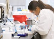 AS Lakukan percobaan pertama vaksin coronavirus terhadap manusia