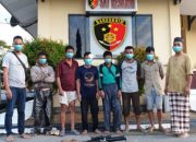 6 Orang Pencuri Sapi di Lainea, Berhasil di Amankan Tim Reskrim Polres Konsel