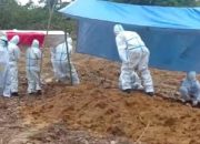 Pemakaman Jenazah Pasien Positif Covid-19 di TPU Punggolaka Kendari berlangsung Aman