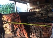AL Bantah Tak Punya Muatan Kayu Yang Ditahan Krimsus Polda Malut