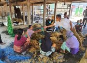 Peduli Warga, Dinas Kelautan dan Perikanan Jeneponto Bagi-bagi APD