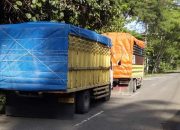 22 Meter Kubik Kayu Gergajian Milik MG Asal Wairoro Diduga Ilegal