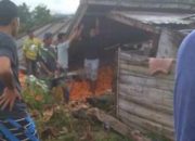 VIDEO Rumah Ambruk Tewaskan 5 Orang di Bone