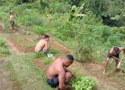 Cegah Penyebaran Virus Satgas Raider 300 Berjemur Di Bawah Matahari Pagi