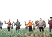 Pemkab. Bantaeng Jamin Produksi dan Ketersediaan Benih Ditengah Pandemi Covid-19