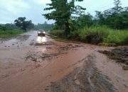 Cemari Lingkungan, WALHI Sulsel Desak Pemerintah Cabuk Izin PT PUL di Luwu Timur