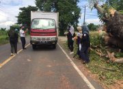 Ansisipasi Penyebaran Covid-19, Hipermata Komisariat UNM Bagikan Masker Gratis ke Pengendara