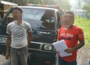 Satu Ton Daging Babi Masuk Halteng  Diduga Salah Alamat