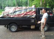 Tim Satgas Covid 19 Halteng Temukan 1 Ton Daging Babi di Posko Moreala