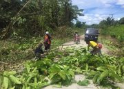 Satgas Raider 300 Bahu Membahu Bergotong Royong Bersihkan Jalan Desa