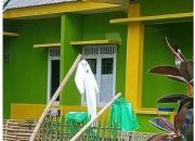 MIRIS..!!! APD di salah satu Puskesmas di Sinjai Dijemur kembali agar bisa digunakan berkali-kali