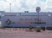 Warga Laeya Konsel, Keluhkan Bau Busuk Diduga Limbah Pengolahan Kelapa Sawit PT Merbaujaya Indahraya