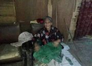 Hidup Sebatang Kara di Gubuk Reok, Lansia Buta di Sinjai Barat butuh uluran tangan pemerintah