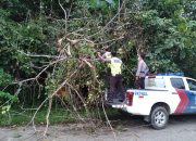 Dengan Sigap Personel Ops Ketupat Polres Sekadau Singkirkan Pohon Tumbang