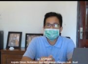 Kadis Pertanian: Stok Pangan Buol aman jika PSBB