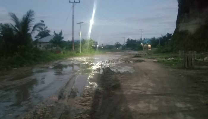 Ruas Jalan Becek Desa Nurweda Menuju Wedana Butuh Perhatian