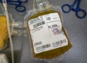 Corona virus: Uji coba pengobatan plasma darah dimulai di Inggris
