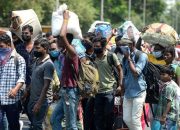 India melaporkan lebih dari 8.000 kasus virus corona baru