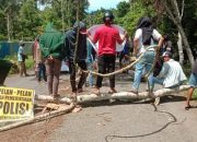 22 ASN Halteng Lolos Kangkangi Instruksi Bupati, Portal Moreala Didemo Warga