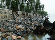 Serap Anggaran 3.6 M, Pekerjaan Tanggul CV. Ananindhita Baru Dua Bulan Kini Rusak