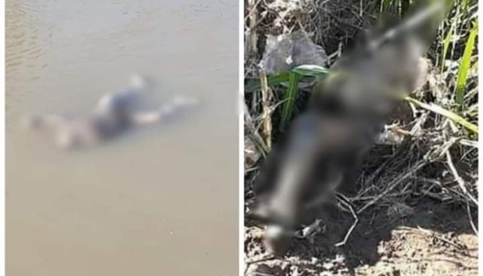 Terseret Sejauh 30 KM, Dua Mayat Korban Tanah Longsor Rumbia Telah di Identifikasi