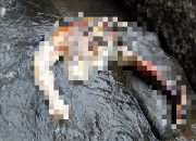 Hilang Selama 12 Hari, Warga Polut Takalar Ditemukan Meninggal di Sungai Samallu