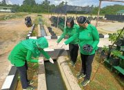 Persit Cabang LII Kodim 1208 Sulap Selokan Jadi Kolam Ikan