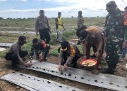 Dukung Ketahanan Pangan Nasional, Kapolres Takalar Tanam 5000 Bibit Melon