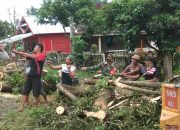 Jumat Bersih, Babinsa Koramil 1403-13 Wotu bersama Warga Burau Gotong Royong Bersihkan Pohon Tumbang dan Saluran Air