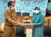 Ketua TP PKK Takalar Serahkan Suplemen Untuk Nakes Yang Terpapar Covid-19