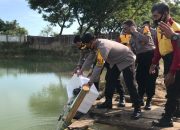 Canangkan Ketahanan Pangan, AKBP Budi Wahyono Tebar 50 Ribu Ikan Patin