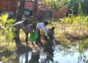 Dukung Ketahanan Pangan, Polsek Polut Tebar Banih Ikan dan Padi