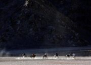 India, Cina berusaha mengakhiri kebuntuan tentara di Himalaya