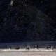 India, Cina berusaha mengakhiri kebuntuan tentara di Himalaya