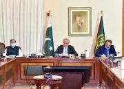 Menteri luar negeri Pakistan dinyatakan positif COVID-19