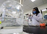 WHO melihat hasil pertama dari uji coba obat COVID dalam dua minggu