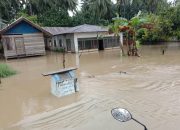 Dikepung Banjir, Ratusan Rumah di Banggai Terendam