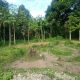 Tanah Milik Darisman Bin Zainuddin Belum di Bayarkan Lunas Oleh Toko Gunung Sari, Ada Apa?