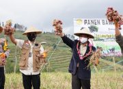 Pulang Kampung, Mentan Boyong Sejumlah Dirjen Bantu Pertanian Bantaeng