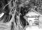 Makam Raja-raja mandar wisata tersembunyi di sulbar